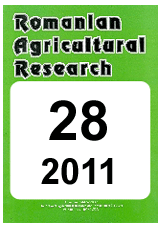 rar28