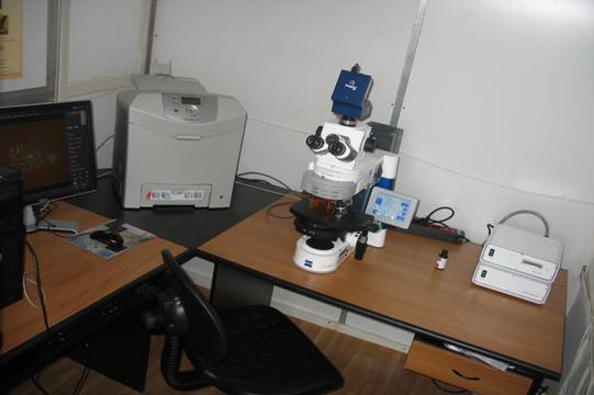 Microscop pentru tehnicile FISH şi GISH- Carl Zeiss: pentru evidenţierea, în genomul unor specii, de fragmente cromozomale/ cromozomi proveniţi din genomul altor specii (sălbatice), prin hibridizare in situ.